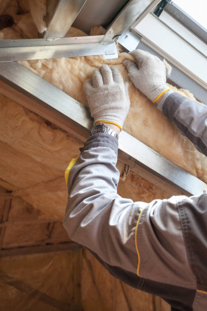 Types of Insulation We Offer in Virden, IL